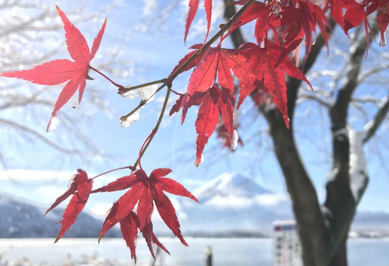Habitacion Niiya Mt Fuji Fujikawaguchiko Zewnętrze zdjęcie